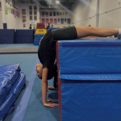 Champion Cheer Academy Tumbling Intensive Camps